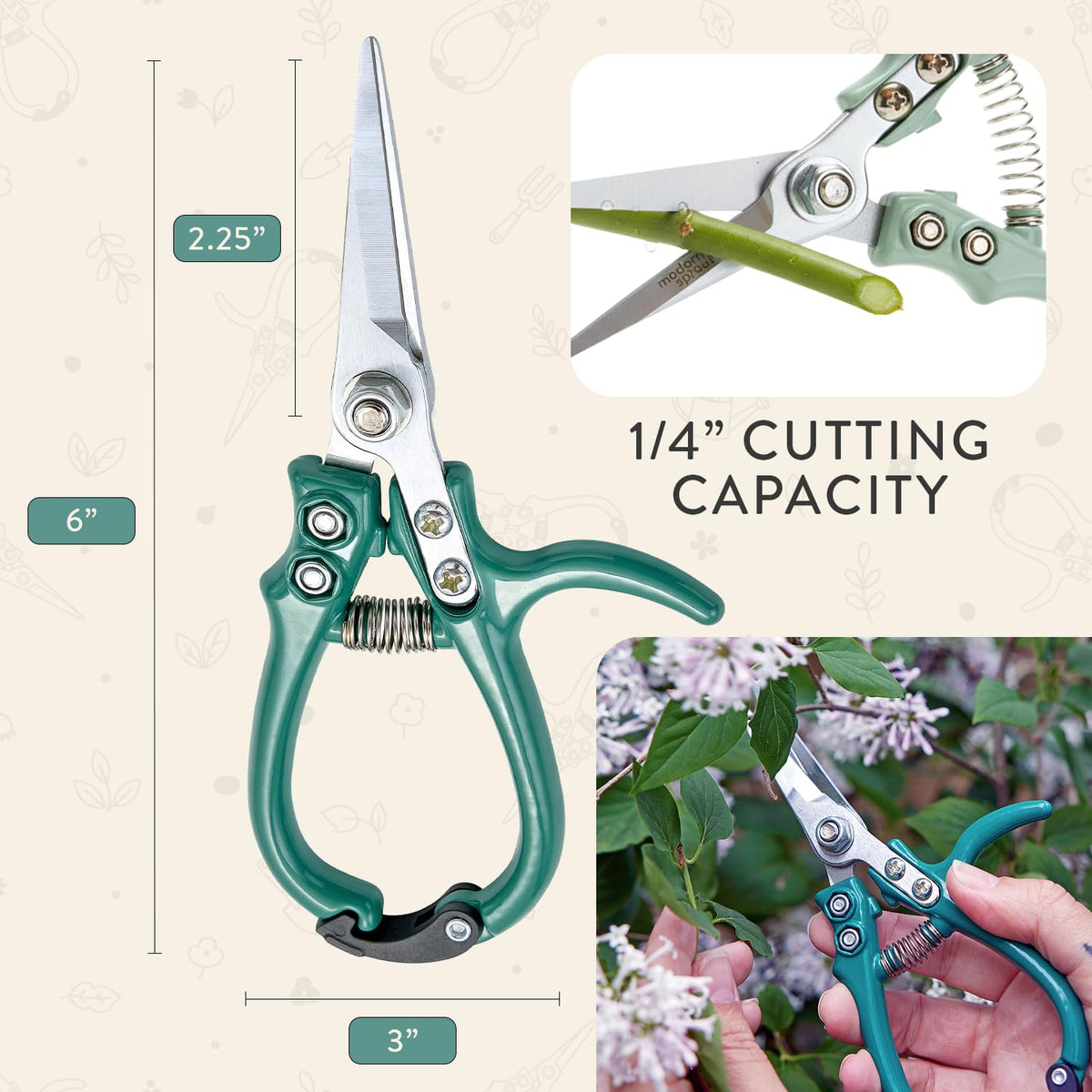Modern Sprout pruning shears Ocean basil trimming example