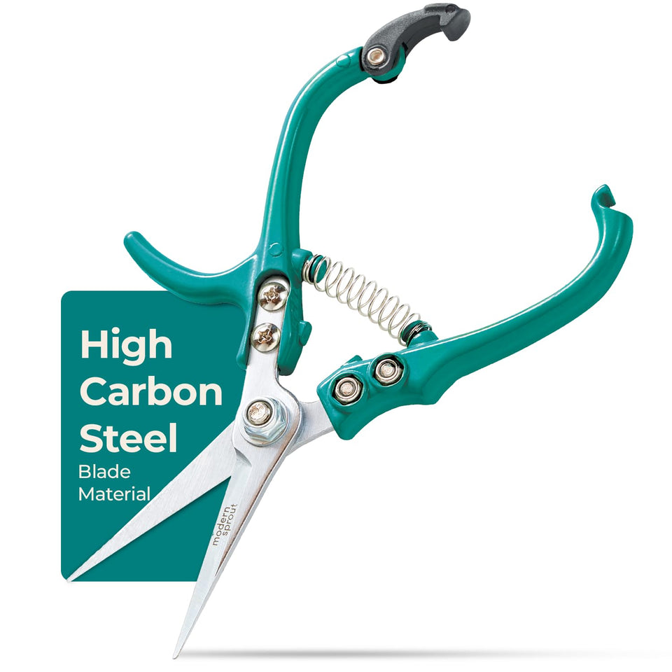Modern Sprout pruning shears Ocean blade close-up for precise trimming