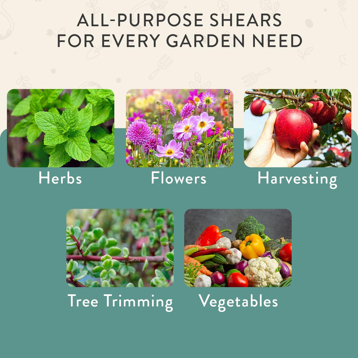 Modern Sprout pruning shears Ocean flower trimming in garden