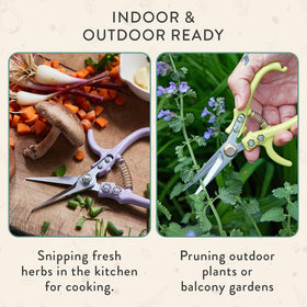 Modern Sprout pruning shears Ocean safety lock in use