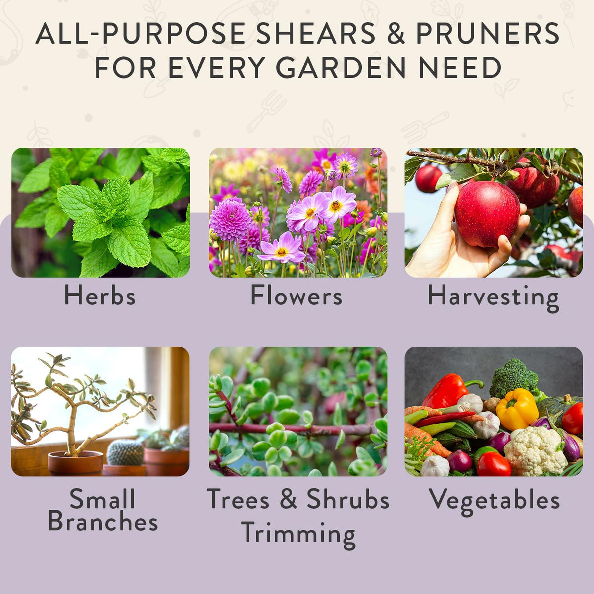Modern Sprout shears snip herbs for precise cuts.