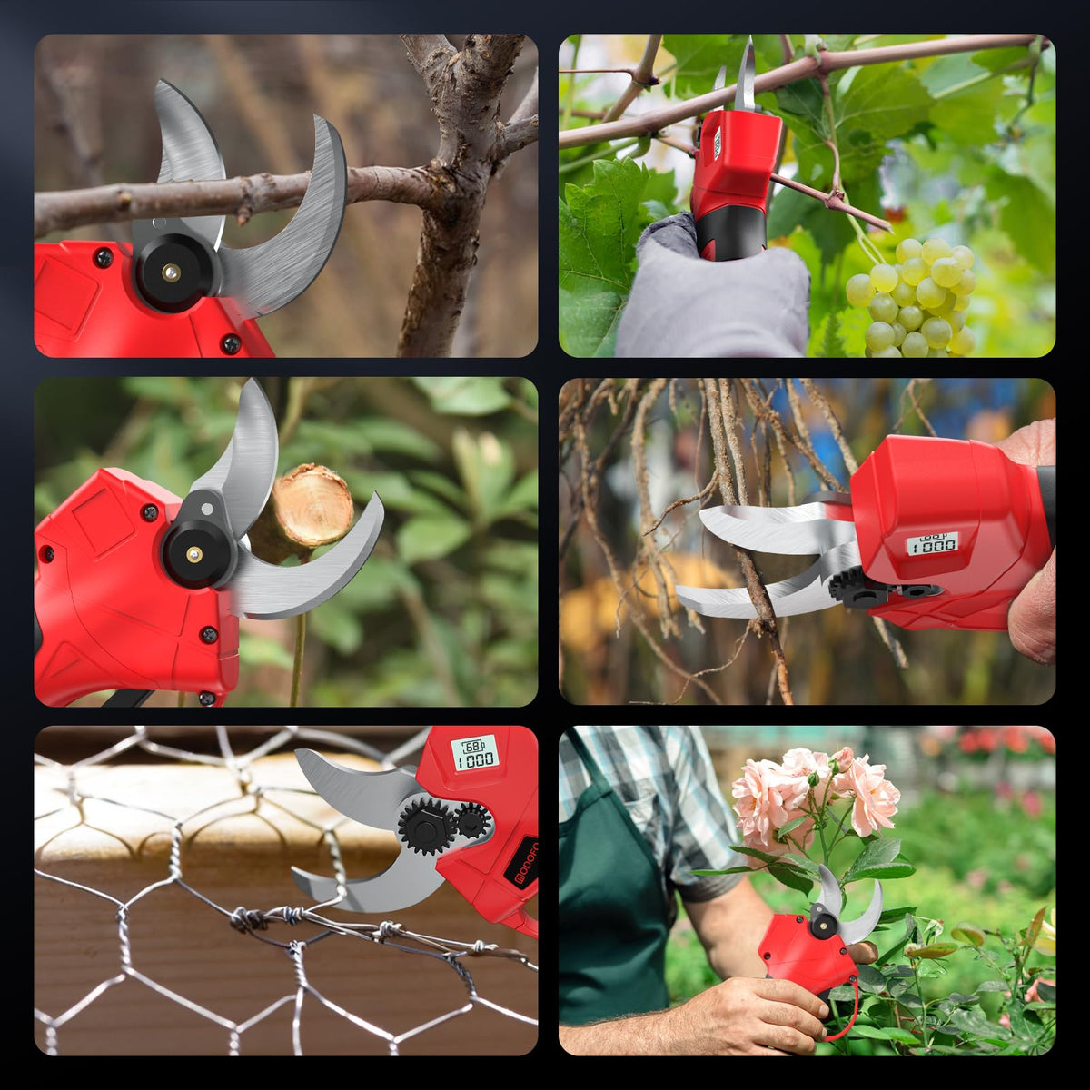 MODOFO gift-ready pruning kit shown with box and included accessories