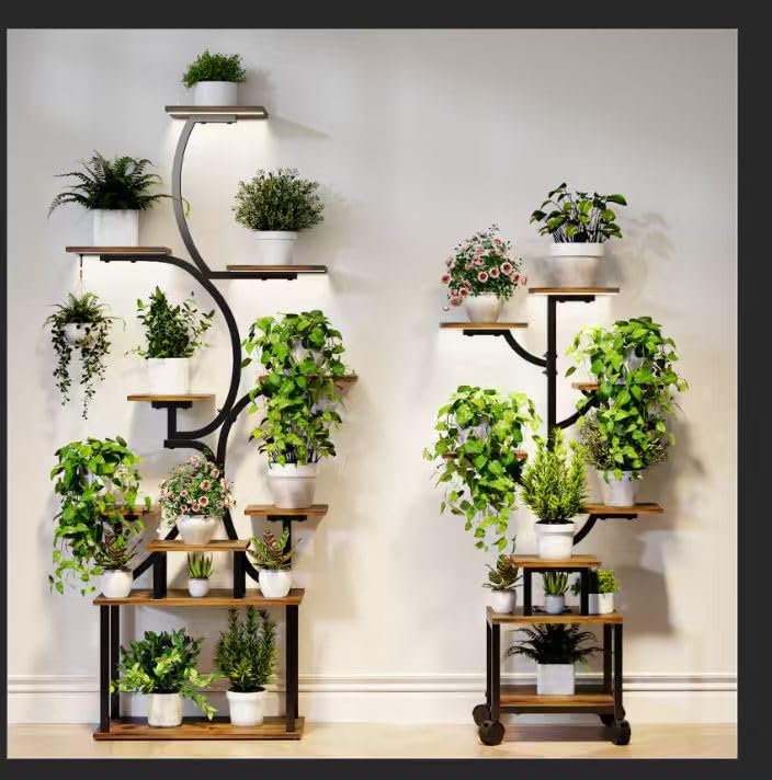 Mogaath night-light glow enhances shelf visibility for plants.
