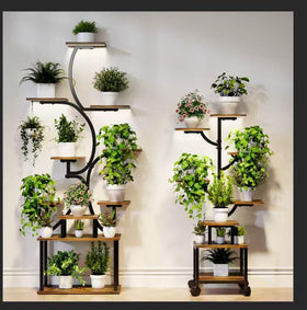 Mogaath night-light glow enhances shelf visibility for plants.