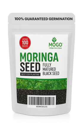 MOGO moringa seeds for planting batch ready for home garden cultivation