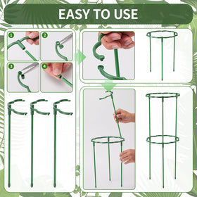 Moiggonoy monstera support stake guides vine branches upward away from soil