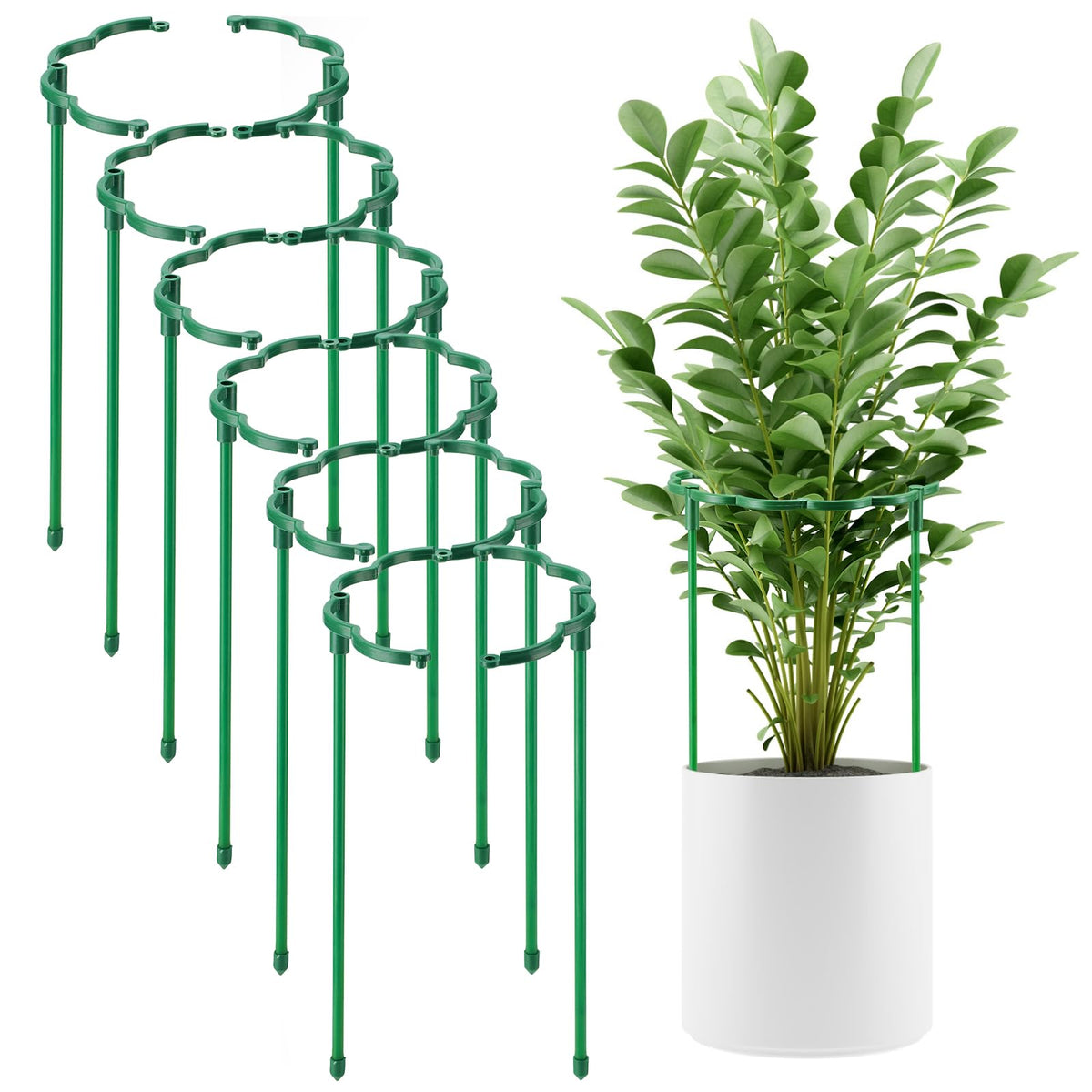 Moiggonoy plant stake arc with cusp supports upright growth in a garden