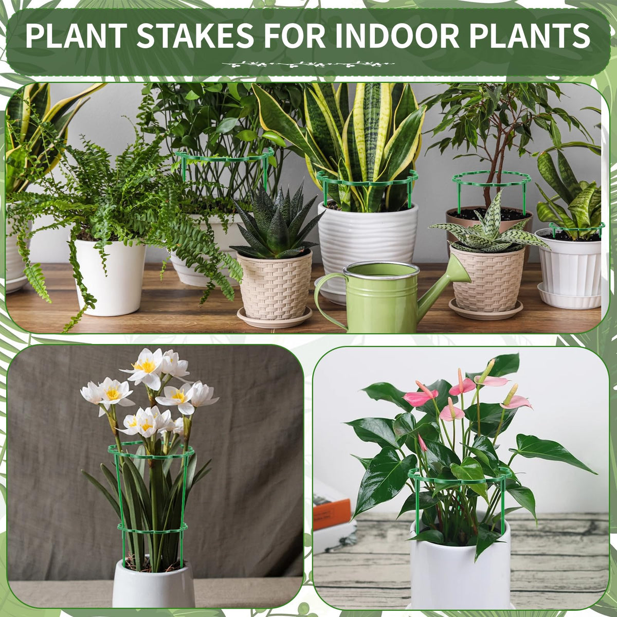 Moiggonoy stackable garden cage demonstrates versatile arrangement for different plant heights