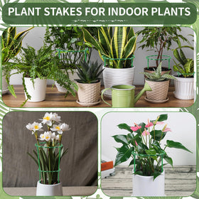 Moiggonoy stackable garden cage demonstrates versatile arrangement for different plant heights