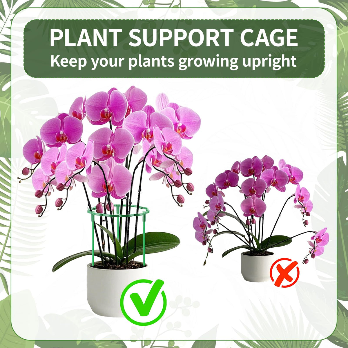 Moiggonoy stackable plant cage assembly keeps climbing plants organized and protected