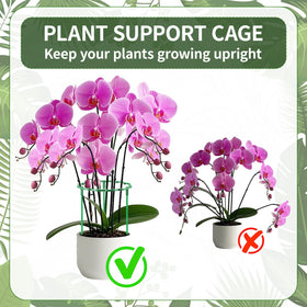 Moiggonoy stackable plant cage assembly keeps climbing plants organized and protected