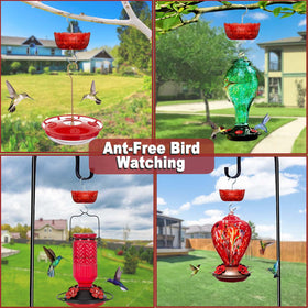 Four ant moats and brushes in the Moinmoly 4-pack kit