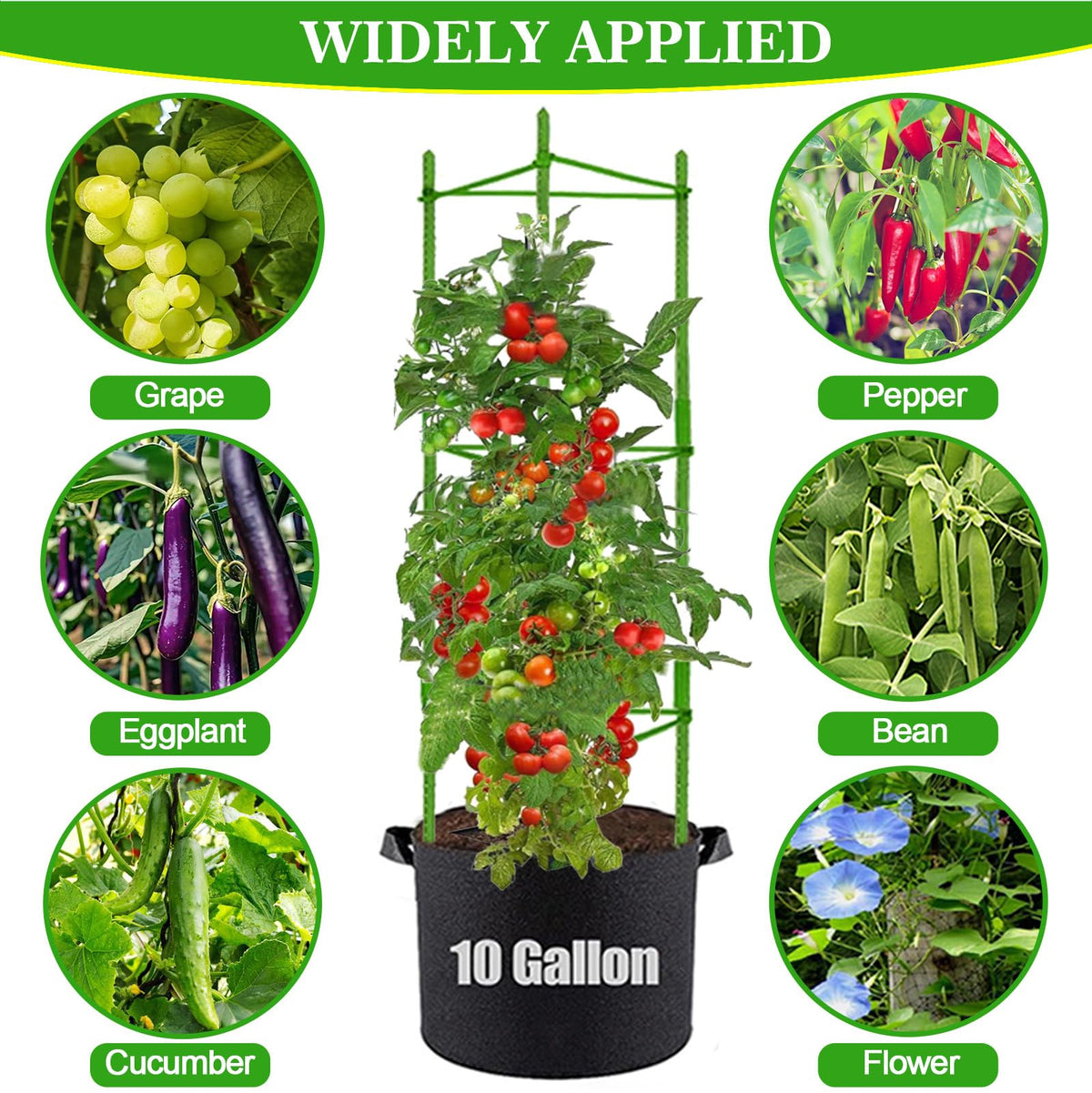 Moirsunt removable grow bags with handles for quick repositioning.