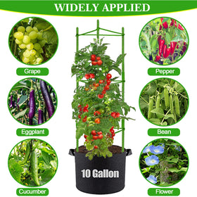 Moirsunt removable grow bags with handles for quick repositioning.