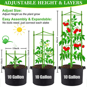 Moirsunt three-layer cage assembly adapts to plant height.