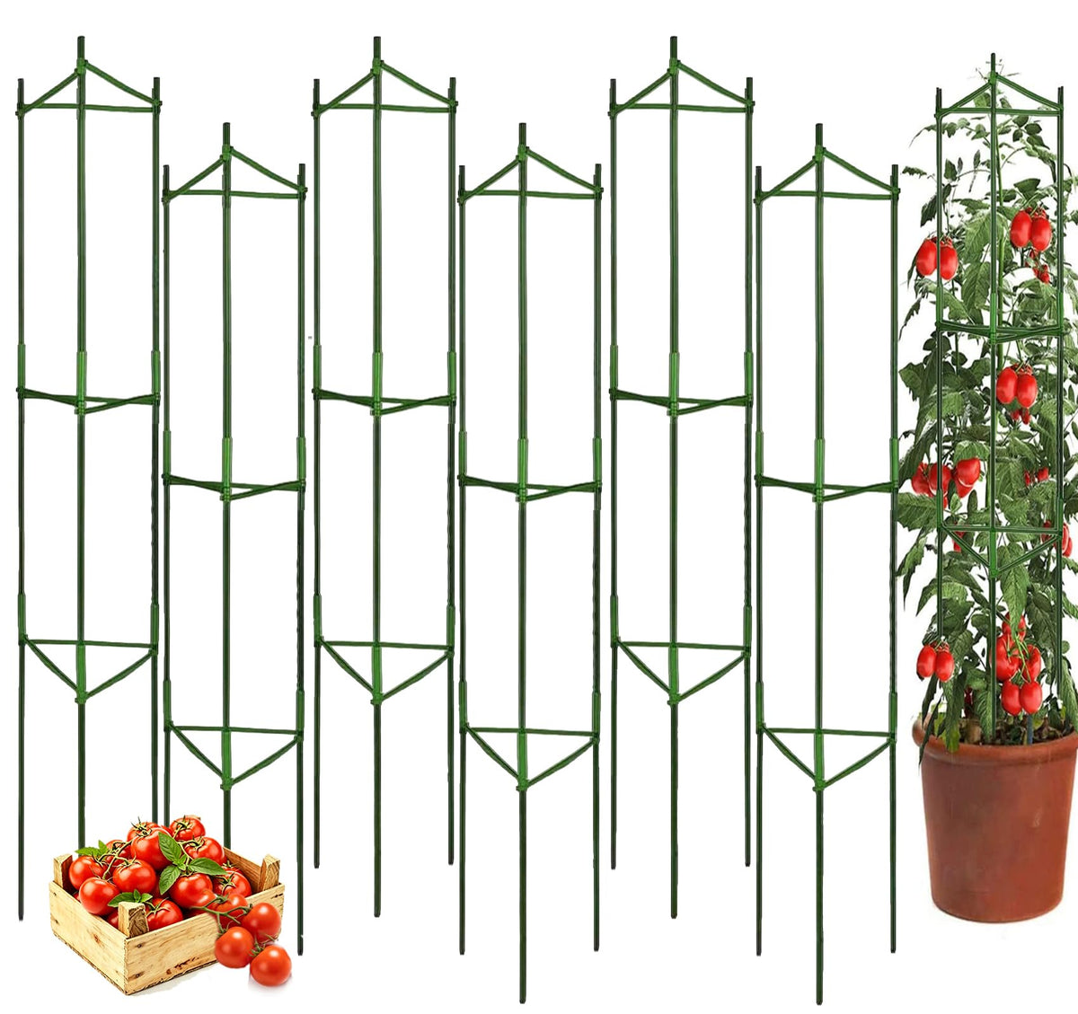 Moirsunt tomato cage 6-pack assembly set supports vertical growth for tomatoes and climbers.
