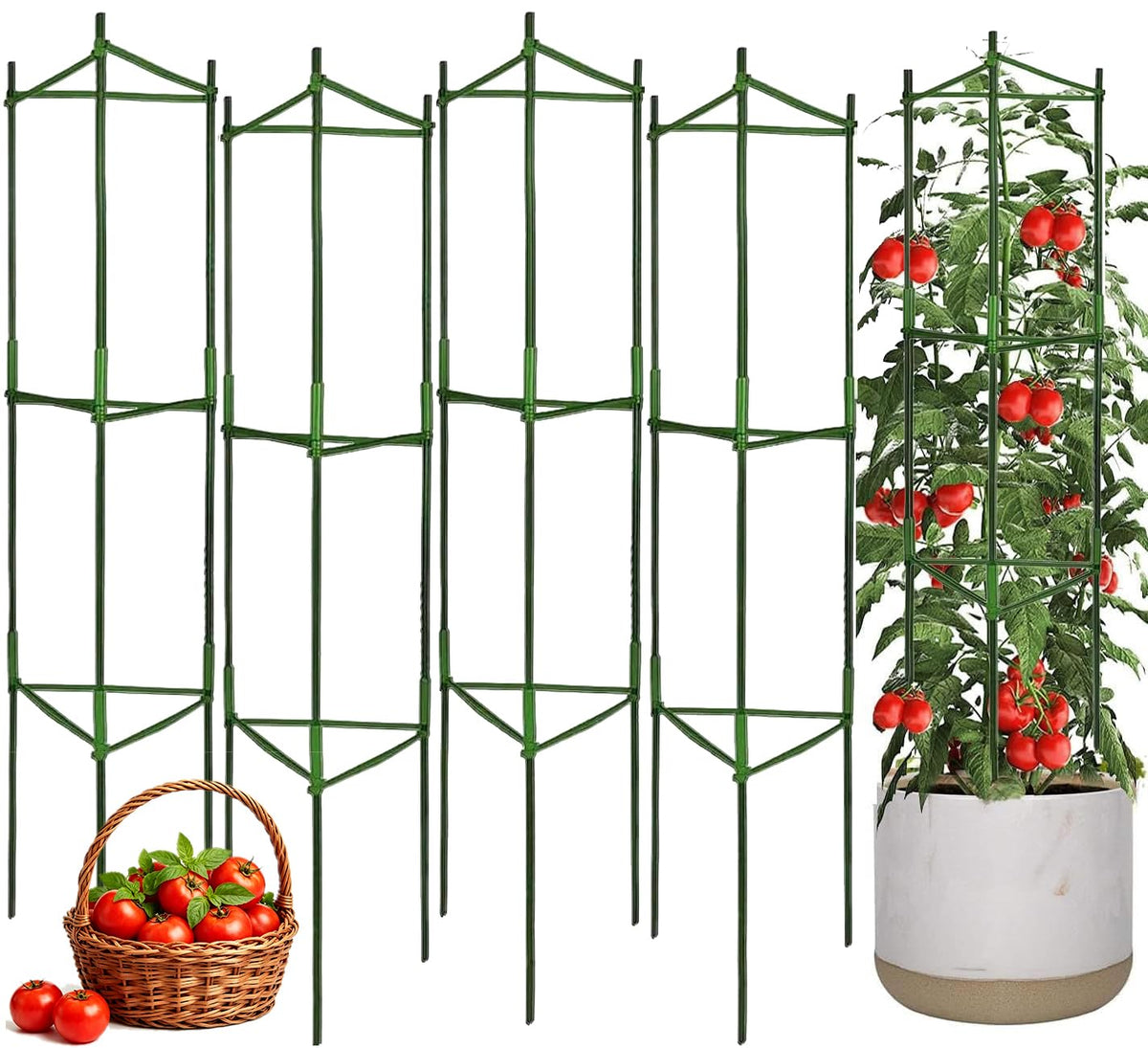 Moirsunt tomato cage assembly shows sturdy, easy setup for garden rows.