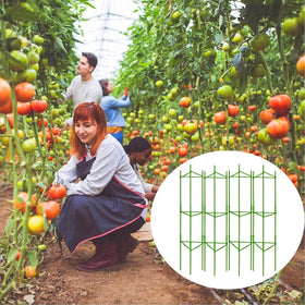 Moirsunt tomato cage storage folds flat for compact, tool-free stowage after use.