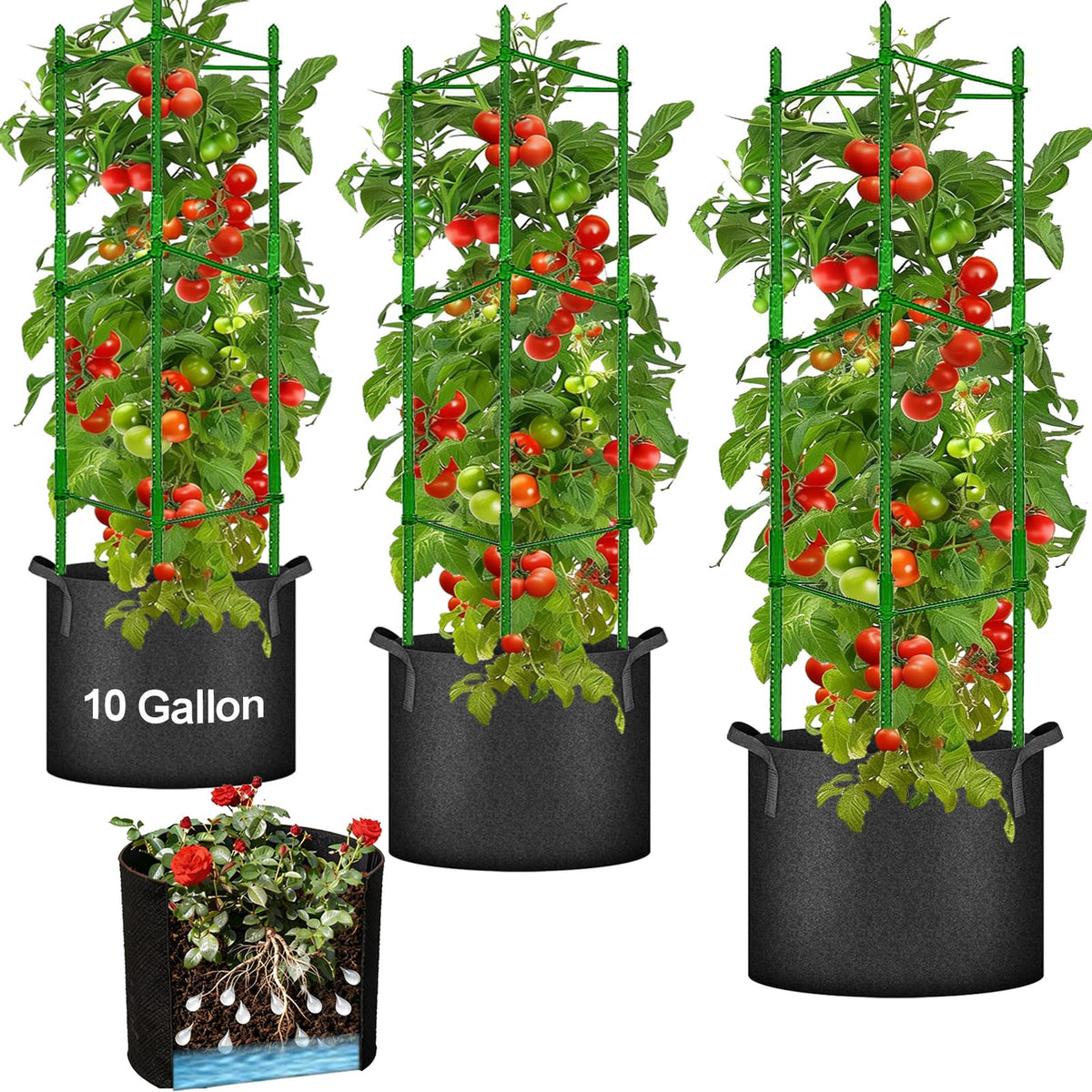 Moirsunt tomato cages 48-inch trellis for vertical growth and stake support.
