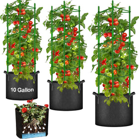 Moirsunt tomato cages 48-inch trellis for vertical growth and stake support.