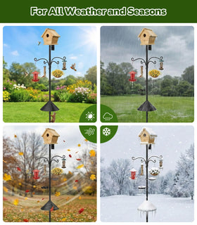 MoKo bird bath device adds hydration options for visiting birds.