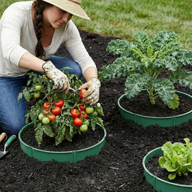 MoKo outdoor edging keeps borders tidy around shrubs and vegetables