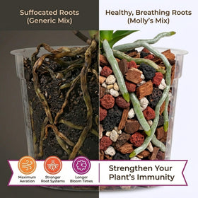 Molly's blend with biochar and lava rock supports aeration and moisture balance.