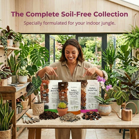 Indoor orchid setup with Molly's gritty mix for clean, efficient care.
