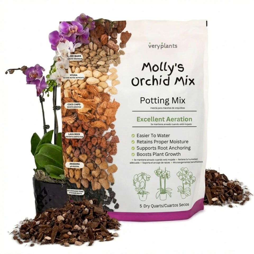 Molly's Orchid Potting Mix bag closeup showing gritty texture ideal for drainage.