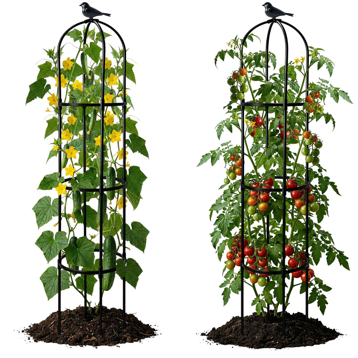 Molukera garden obelisk 6ft trellis for sturdy vertical support of climbing plants
