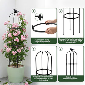 Indoor or outdoor versatility supports flowering vines and potted climbers alike