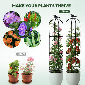 Stable support elevates foliage without stressing stems or leaves