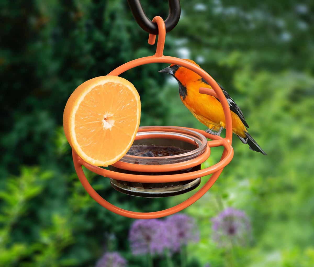 Monarch Abode clear glass bowl showcases jelly for fruit-loving birds.