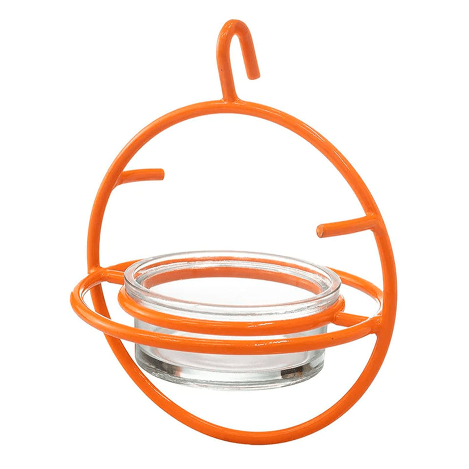 Monarch Abode hanging oriole feeder with orange frame attracting backyard birds.