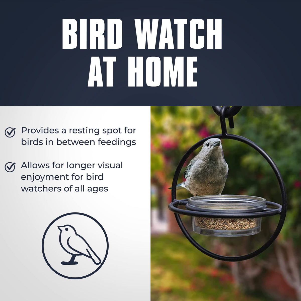 Monarch Abode Zazu black-matte frame; stylish outdoor decor blends with gardens.