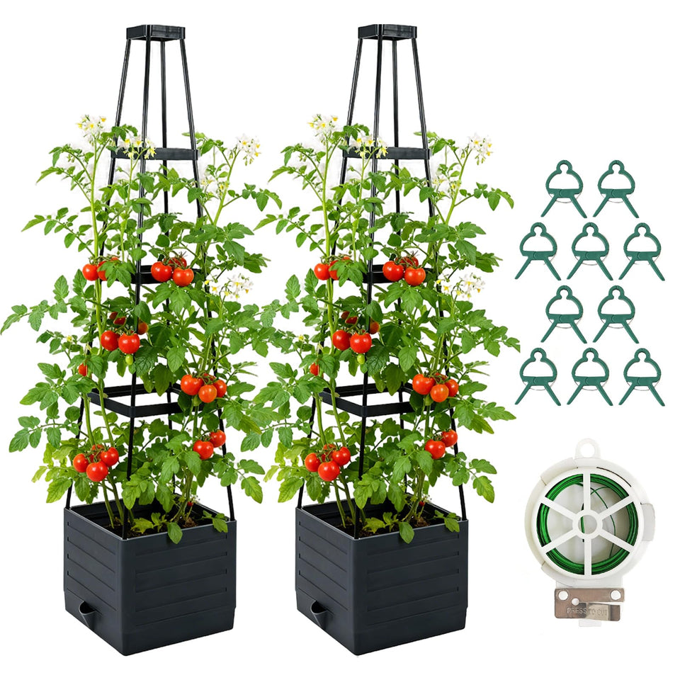 Monirsen 2 pack raised planter with trellis supports tomatoes and climbing plants.