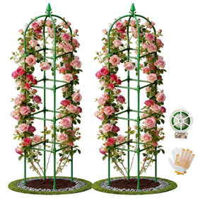 Monirsen garden obelisk trellis standing tall for vertical climbing plants.