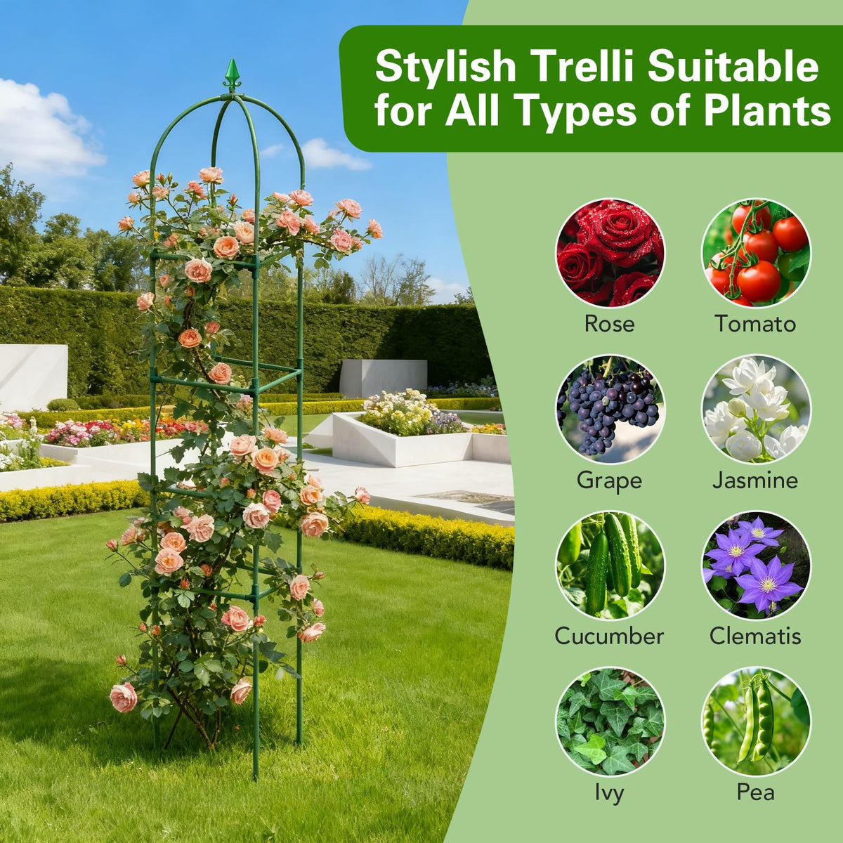 Monirsen indoor outdoor garden trellis fits any space gracefully.