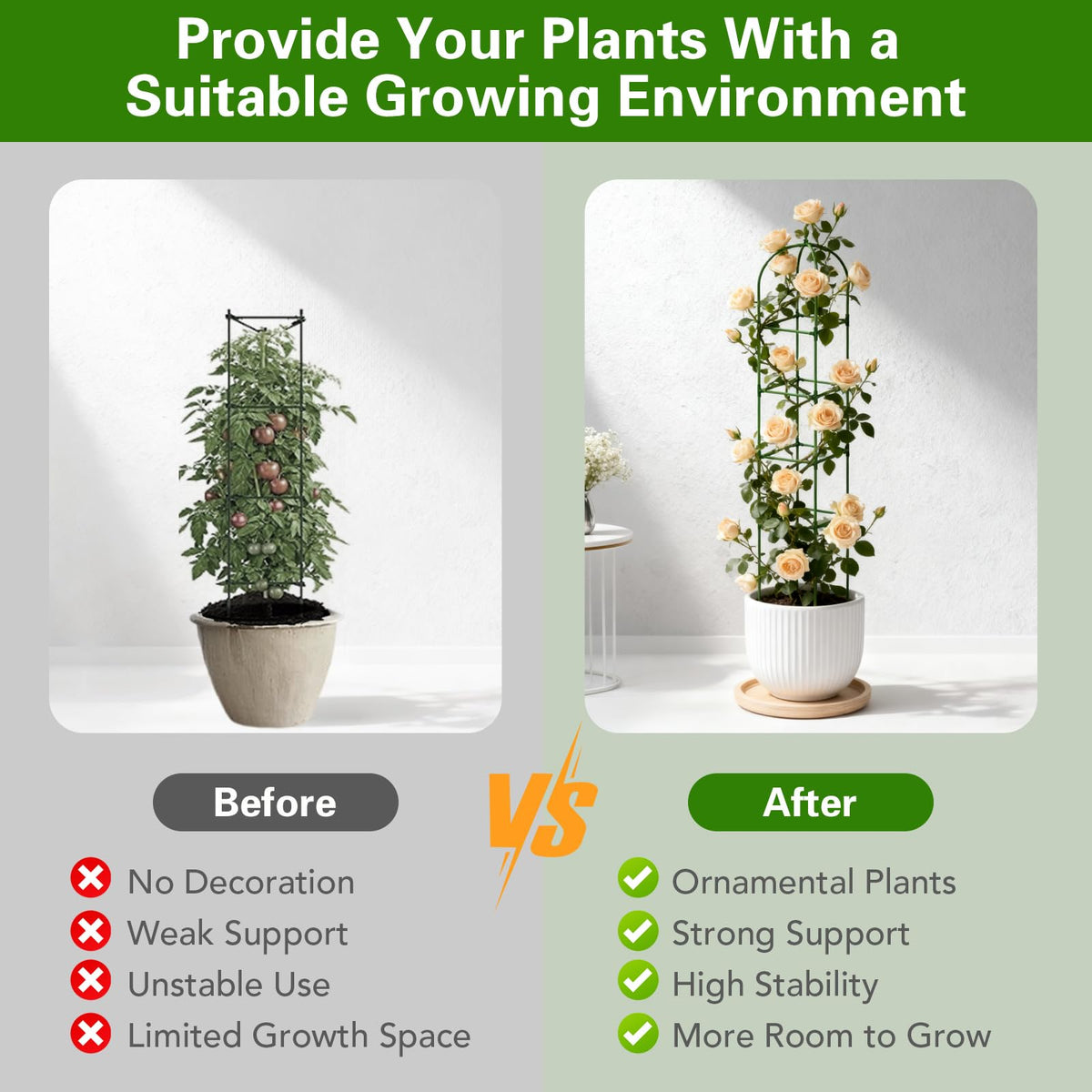 Monirsen potted plant trellis aiding vertical gardening in small spaces.