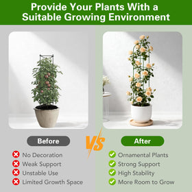 Monirsen potted plant trellis aiding vertical gardening in small spaces.