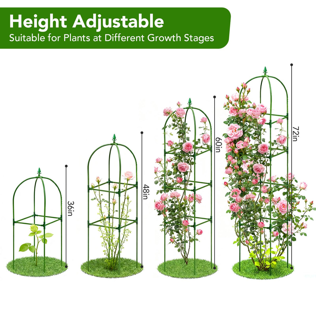 Monirsen rose trellis with rustproof coating helping roses climb securely.
