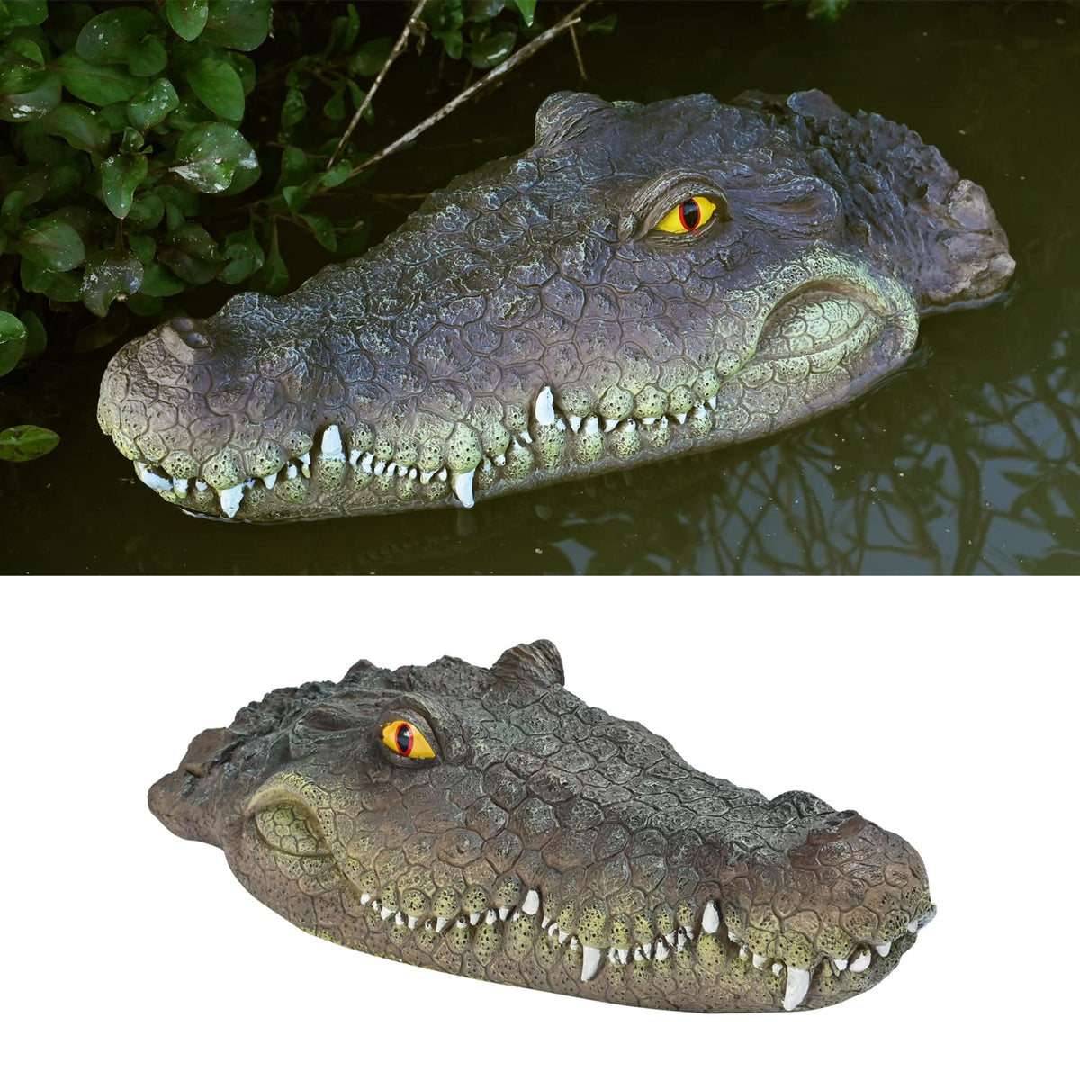MONT PLEASANT pond alligator head deco with lifelike deterrence.