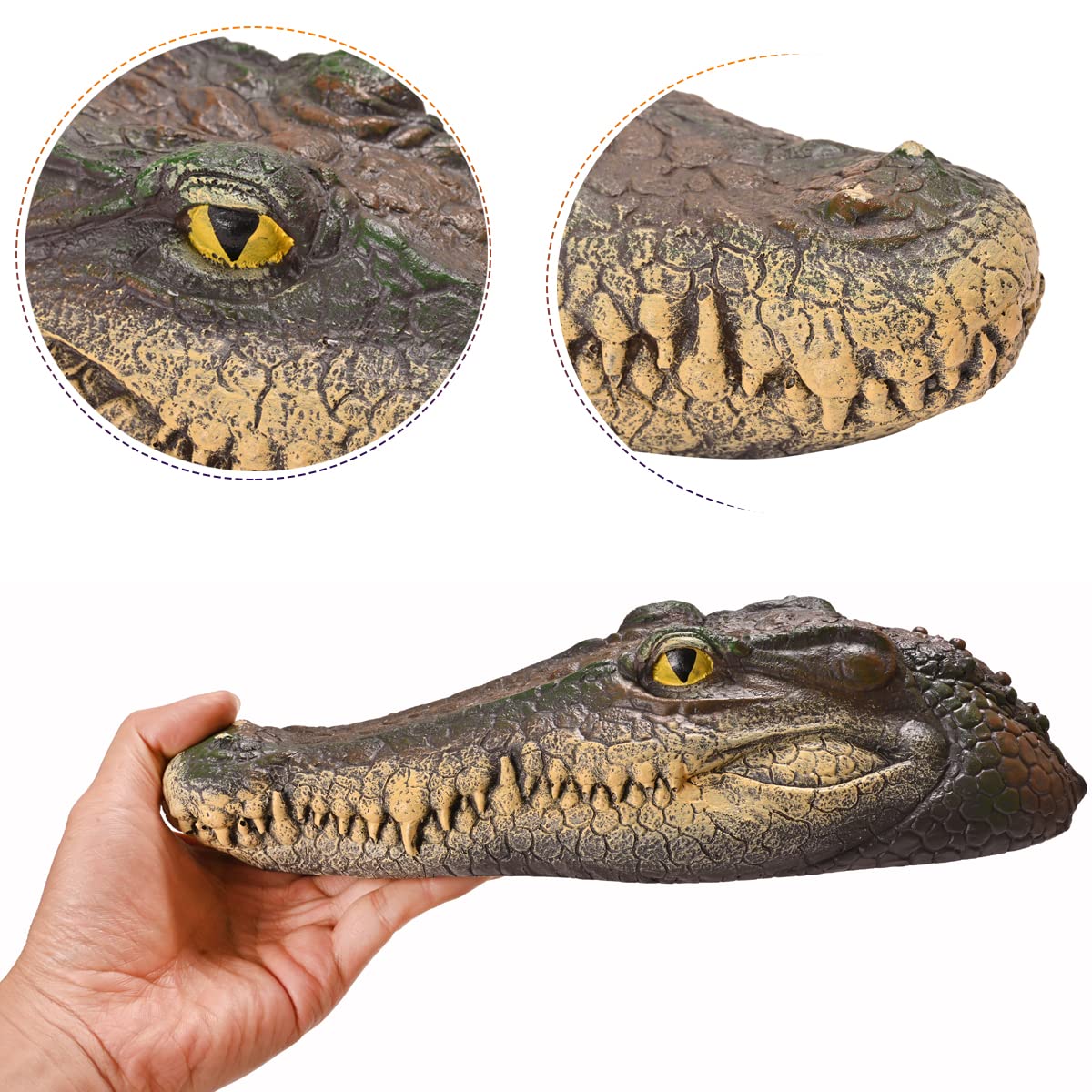 MONT PLEASANT realistic crocodile head texture adds outdoor decor realism