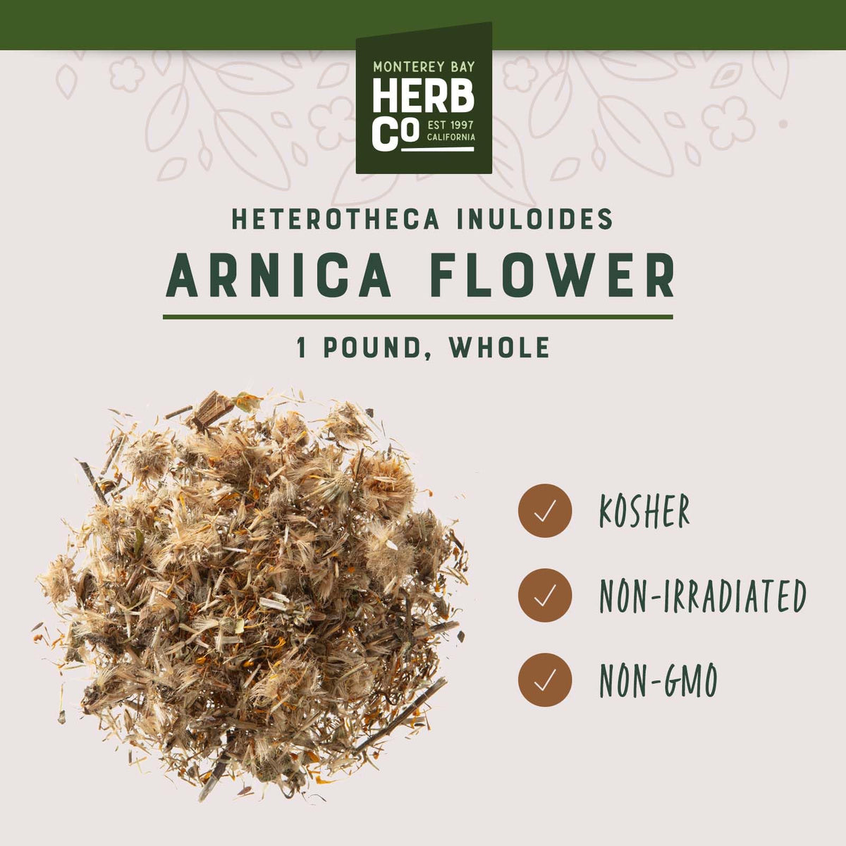 Monterey Bay Herb Co Arnica Flower for infusion-ready golden blooms
