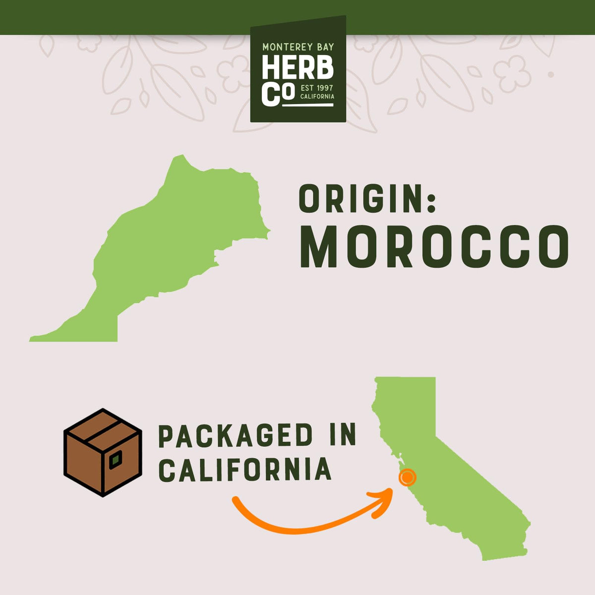 MONTEREY BAY HERB CO hair treatment infusion with dried rosemary.