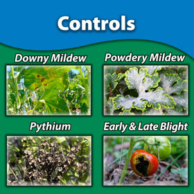 Monterey Complete Disease Control measuring spoon included aids precise mixing for consistent results.