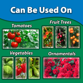 Monterey Copper Fungicide Garden Spray label closeup with residential-use guidelines.