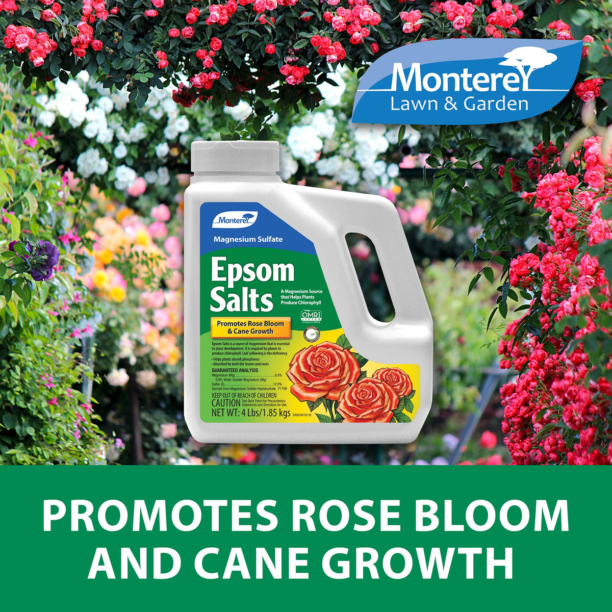 Monterey Epsom Salts bottle pour demonstrates easy foliar application.