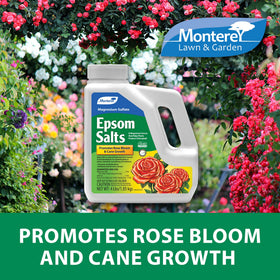 Monterey Epsom Salts bottle pour demonstrates easy foliar application.