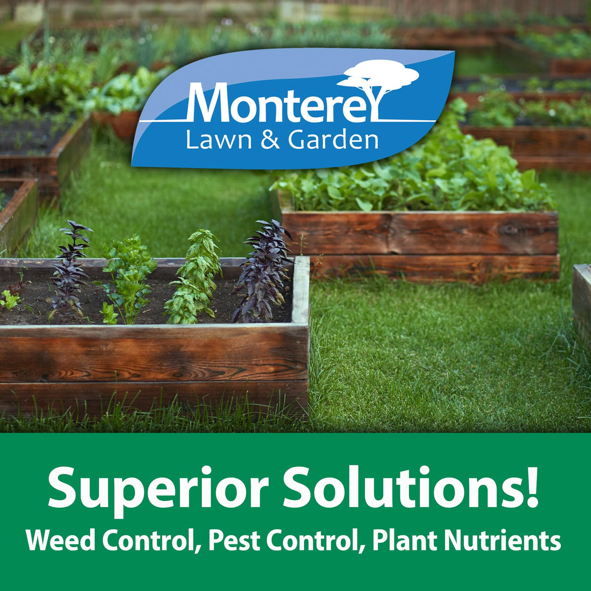 Monterey Epsom Salts foliar application delivers nutrients through leaves.